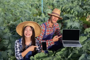 Inovasi Pertanian Berkelanjutan