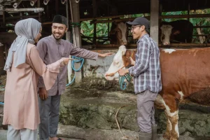 Kepemilikan hewan qurban online