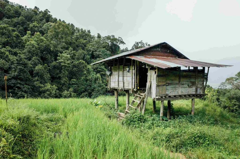 Pusat Peradaban Umat