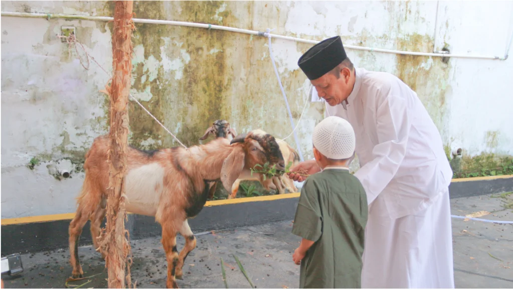 Syarat Sah Hewan Qurban 2026