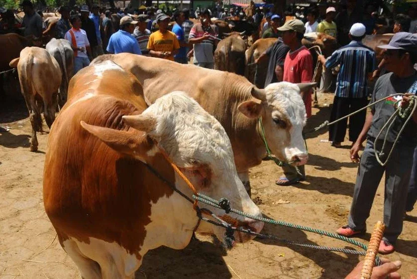 Keutamaan Qurban Idul Adha 2026